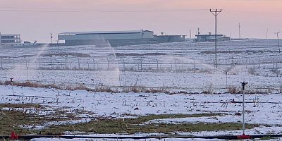  Eyyübiye’de Karla Kaplı Arazide Kaçak Elektrikle Sulama!