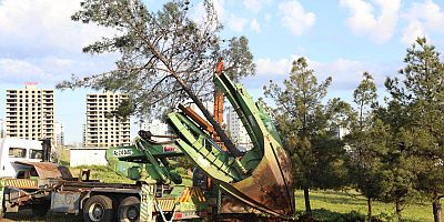 FIRAT BULVARI’NDA ULAŞIM VE PEYZAJ YENİLENİYOR