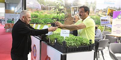 Diyarbakır Büyükşehir Belediyesi