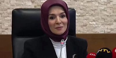 Göktaş: Anneler 10 gün içinde başvurabilecek 