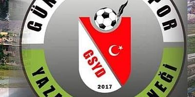 GSYD'DEN TFF'YE BAL LİGİ ÇAĞRISI 