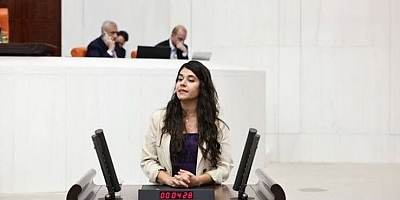 Güneş’ten Kızıltepe’de çocukların bulunduğu eve silahlı baskın tepkisi