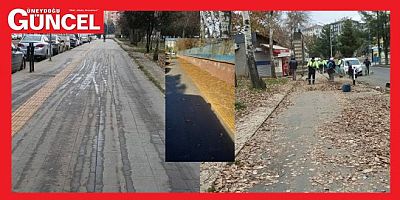 Güneydoğu Güncel Yazdı, Bağlar Belediyesi Harekete Geçti