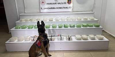 Hakkari’de 43 kilo uyuşturucu madde ele geçirildi