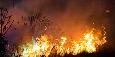 Hakkari'deki Nehil Sazlığı alevlere teslim oldu