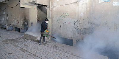 Haşerelere karşı kışlak ilaçlamanın startı verildi