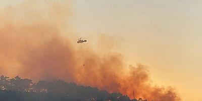 Hatay’da orman yangınına sebebiyet verdiği iddiasıyla 4 kişi yakalandı