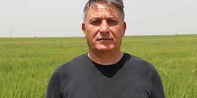 Hububat hasadına hazırlanan çiftçinin gözü buğday fiyatında