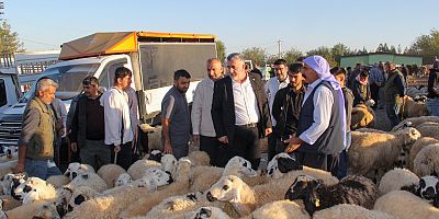 HÜDA PAR İl Başkanı Gülsever’den “Canlı Hayvan Borsası” çağrısı: Bu zulme son vererek pazarı açın!