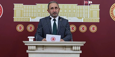 HÜDA PAR Milletvekili Demir, Bingöl, Siirt ve Şırnak’ın sorunlarını Meclis’te dile getirdi