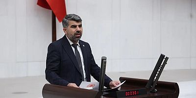 HÜDA PAR Milletvekili Dinç, başıboş köpek sorununu bir kez daha Meclis’e taşıdı