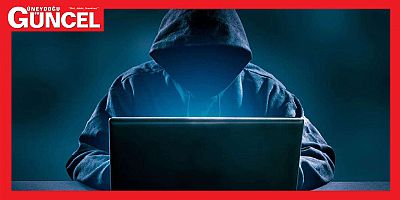 Hükümete bağlı web sitelerine siber saldırı