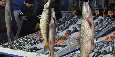 İç sularda sazangiller için av yasağı başladı