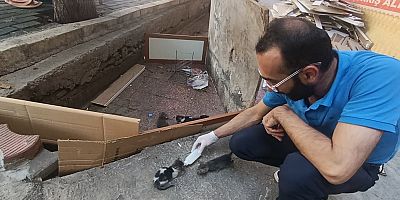 İNSANLIK ÖLMEMİŞ! ANNESİZ KALAN 5 YAVRU KEDİYE MAHALLELİ SEFERBER OLDU