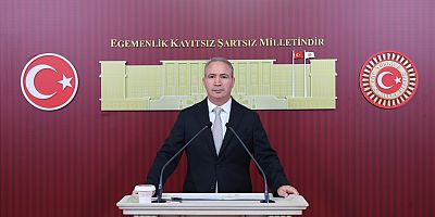 İrmez’den TBMM’ye “Fon Krizi” çağrısı: “Milyarlarca dolarlık iddialar araştırılsın”