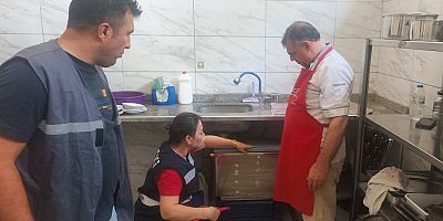 İŞLETME DENETİMLERİYLE BİSMİL'DE KANALİZASYON ALTYAPISI KORUNUYOR