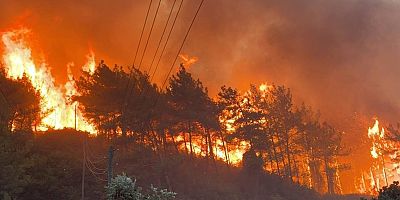 İstanbul Beykoz'da orman yangını: Alevler yeniden yükseldi