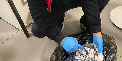 İstanbul Havalimanı’nda 5 bin canlı sülük ele geçirildi