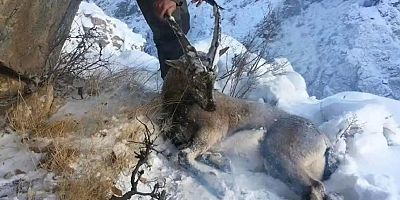 Kaçak avcılara 5 milyon TL ceza