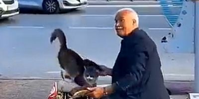 Kadıköy’ün “Cengiz Baba”sı Sokak Hayvanlarının Sesi Oldu