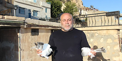 Kadim Kentin Kadim Mirası: Mardin güvercini