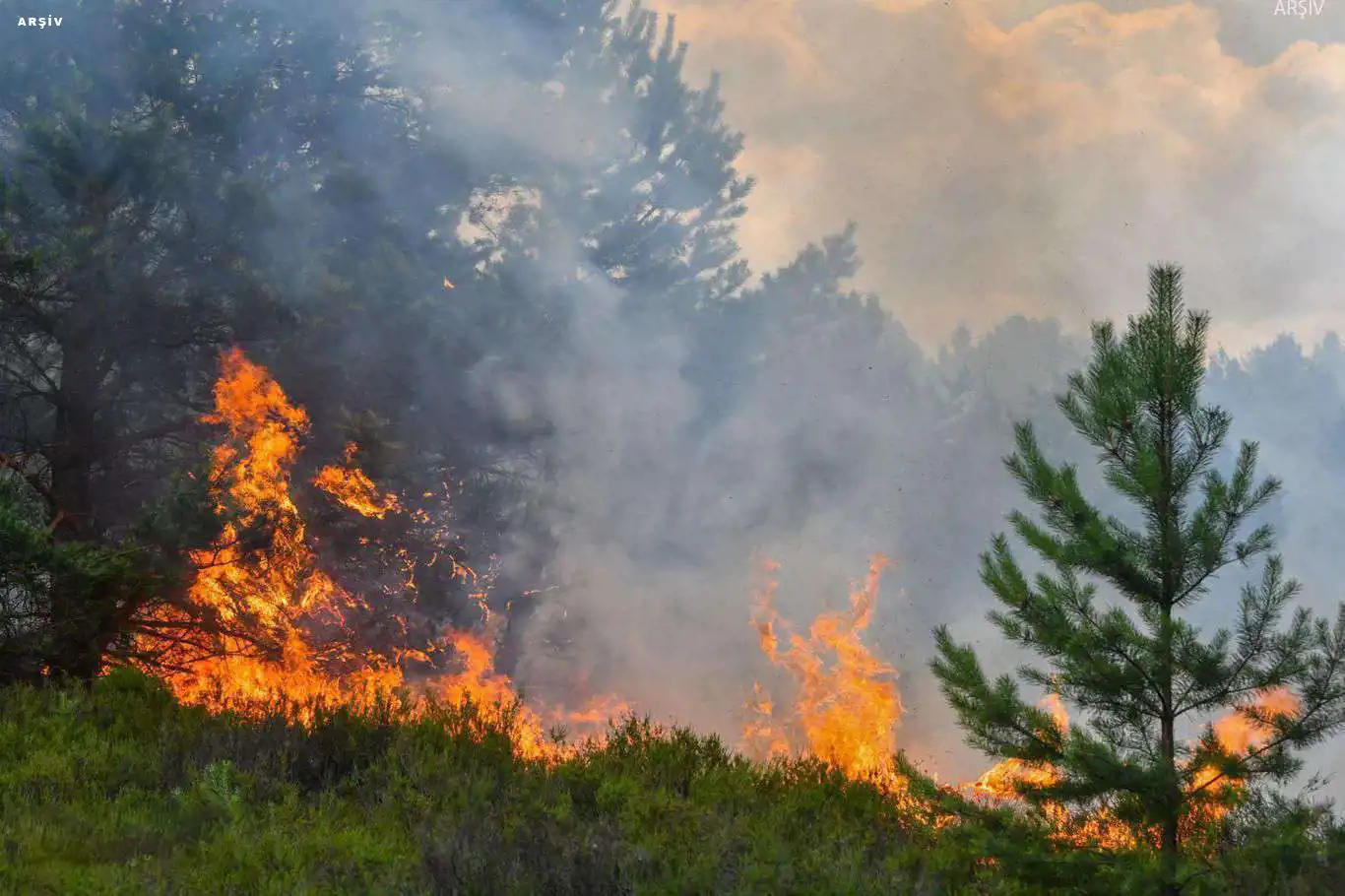 Kahramanmaraş'taki orman yangınında 21 hektar alan hasar gördü