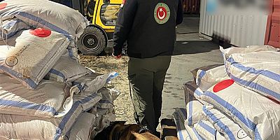 Kapıkule’de 1 ton 413 kilo esrar ele geçirildi