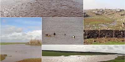 Karacadağ'da dereler doldu taştı göletler suya doydu