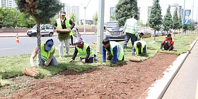Kavşak ve refüjlerde peyzaj düzenleme çalışmaları sürüyor