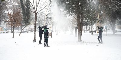 Kayapınar Belediyesi Binlerce Ağaç Zarar Görmekten Kurtarıldı