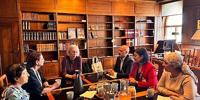 Kayapınar Belediyesi Heyetinden İsveç’te Yerel Yönetim Temasları