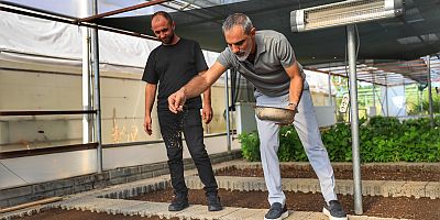 Kayapınar Belediyesi kış çiçeklerinin ekimine başladı