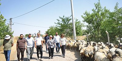Kayapınar’da Kırsal Mahallelere Hizmet Seferberliği