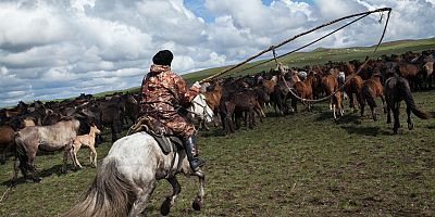 Kazakistan'da at eti tüketimi rekor seviyeye ulaştı