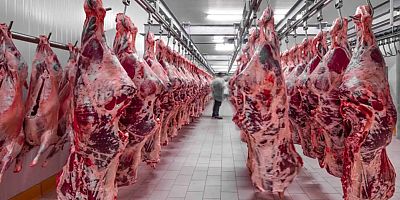 Kırmızı et üretimi 2025’te yüzde 10,5 azaldı