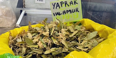 Kış gelmeden tükeniyor! Adana’da şifa arayanların ilk durağı