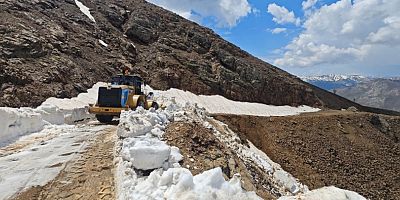 Kulp’ta Çığ ve Heyelan Nedeniyle Kapanan Yollar Yeniden Açılıyor