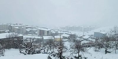 Kulp'ta şubat ayının son günlerinde kar yağışı etkili oldu