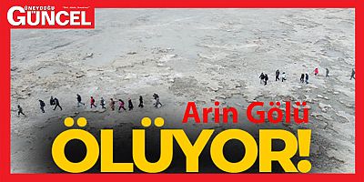 Kuş cenneti Arin Gölü tehlike altında