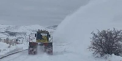 Malatya'da okullar kar nedeniyle tatil edildi