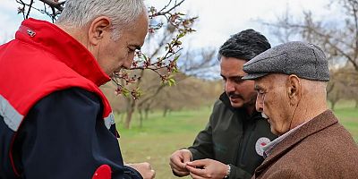 Malatya Tarım ve Orman İl Müdürü Akar: Dolu zararı için kesin tespit çalışmaları sürüyor