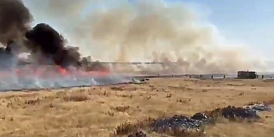 Mardin’de 250 dönüm arazi yanarak küle döndü