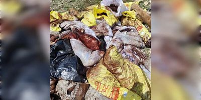 Mardin'de at ve eşek kesimi: Şüpheli gözaltında