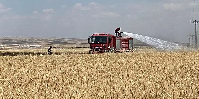 Mardin’de yaklaşık 300 dönüm ekili alan yandı
