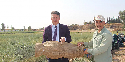 Mardin’de yaklaşık bir yılda üretilen 2 milyon tuz çalısı fidanı, 15 ile gönderiliyor