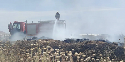 Mardin’de yüksek gerilim akımına kapılan güvercin yangına neden oldu