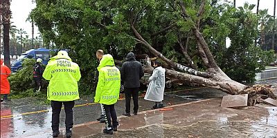 Meteoroloji uyardı: Kuvvetli yağış ve fırtına bekleniyor