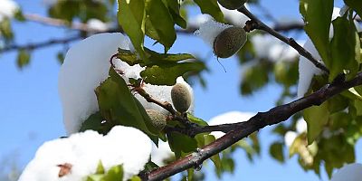 Meteoroloji uyardı: Zirai don, çığ ve toz taşınımına dikkat