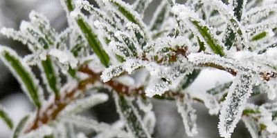 Meteorolojiden zirai don uyarısı    