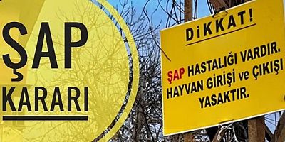 Muğla'da şap karantinası